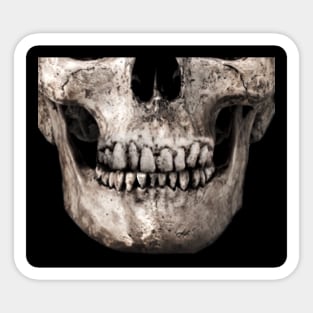 Halloween Skull Mask Sticker